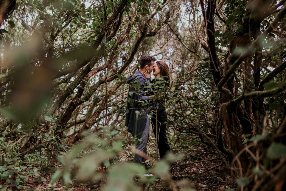 Preboda en el bosque