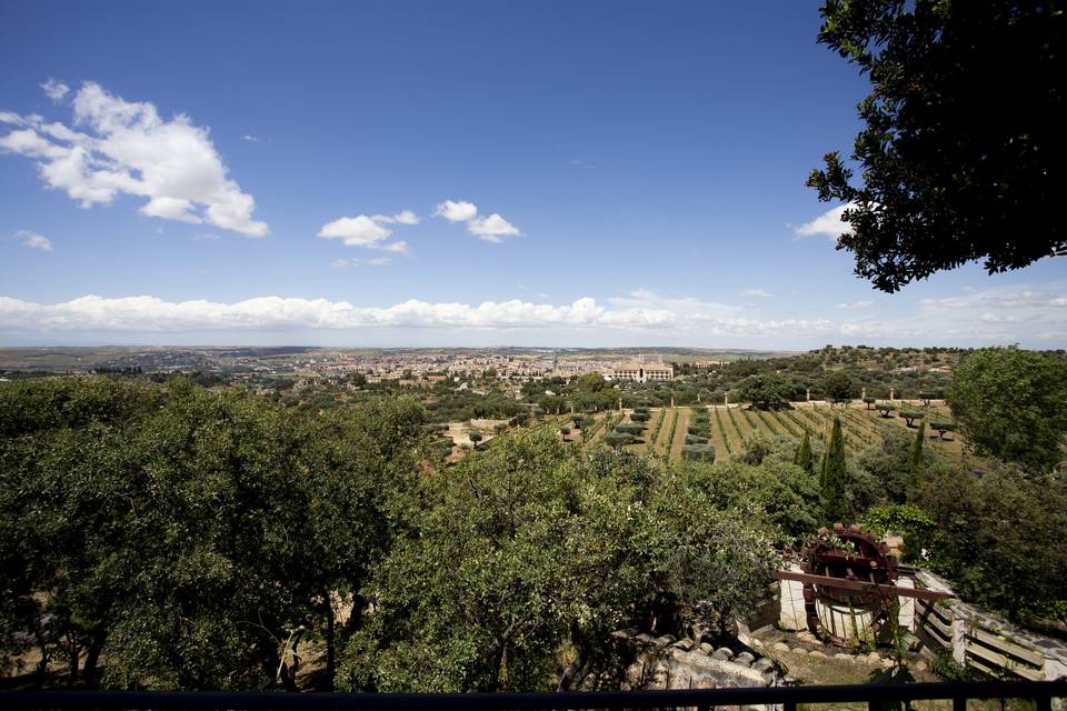 Viñedos Cigarral Santa María