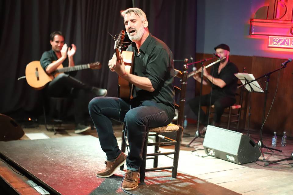 Músico profesional