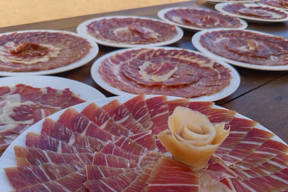 Plato presentación
