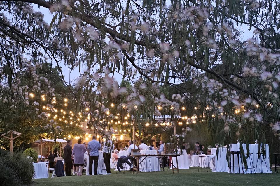 Boda tarde/noche