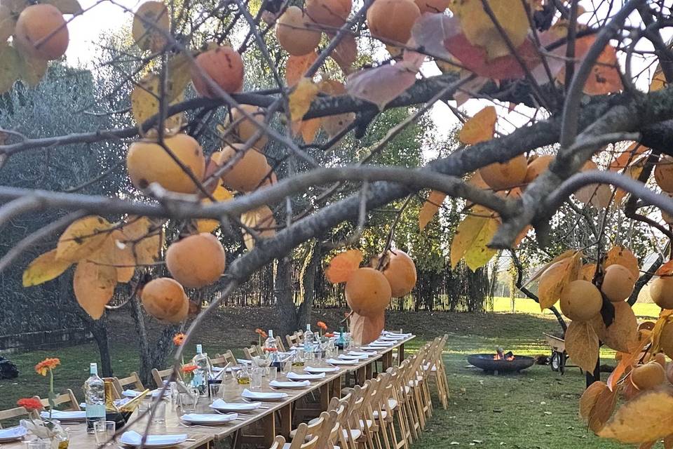 Boda otoño