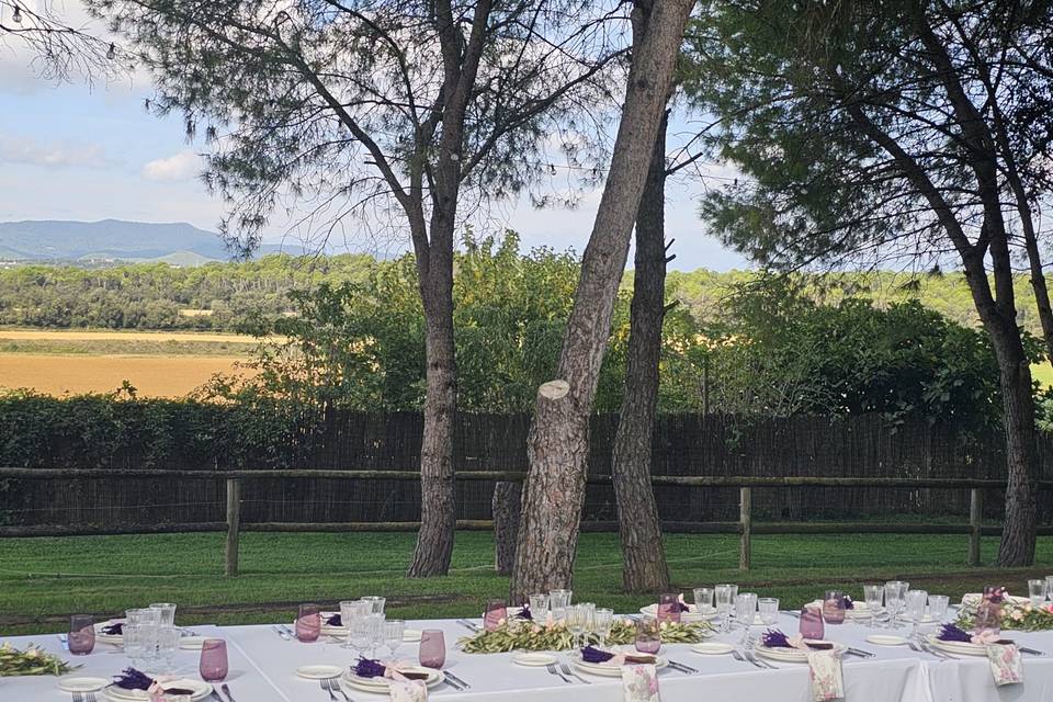 Vistas desde la mesa