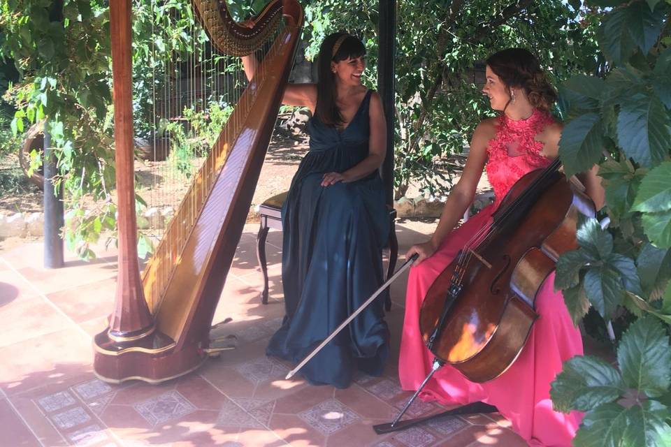 Arpa y cello conversando
