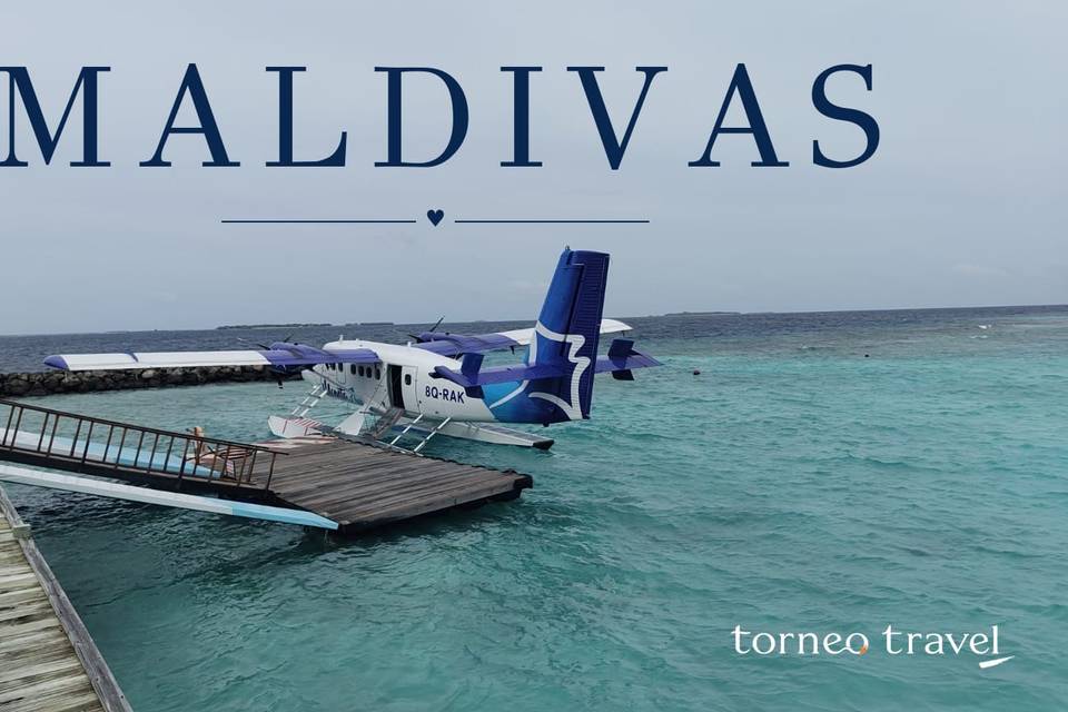 Torneo Travel- Lunas de miel