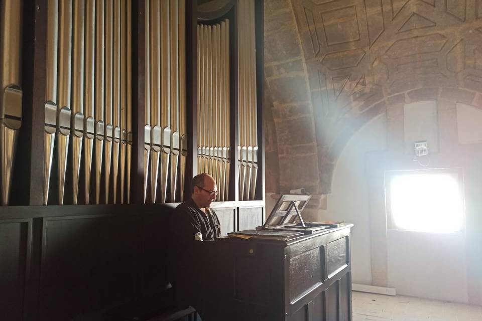 Organista