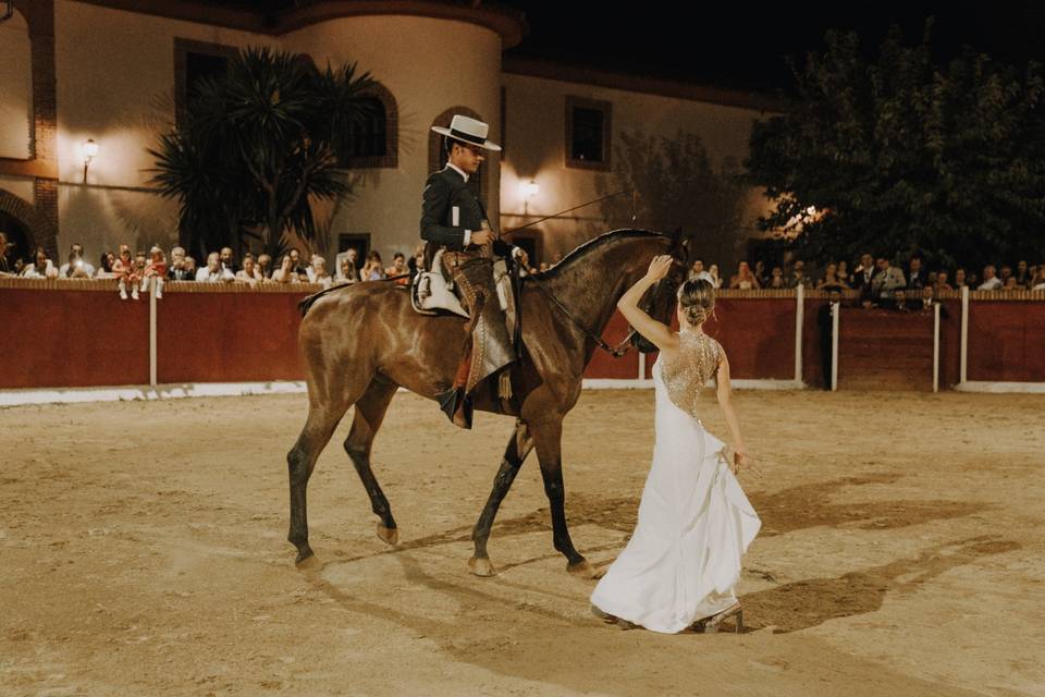 Sevillanas con un caballo