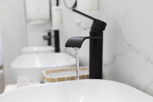 Toilet de Luxe