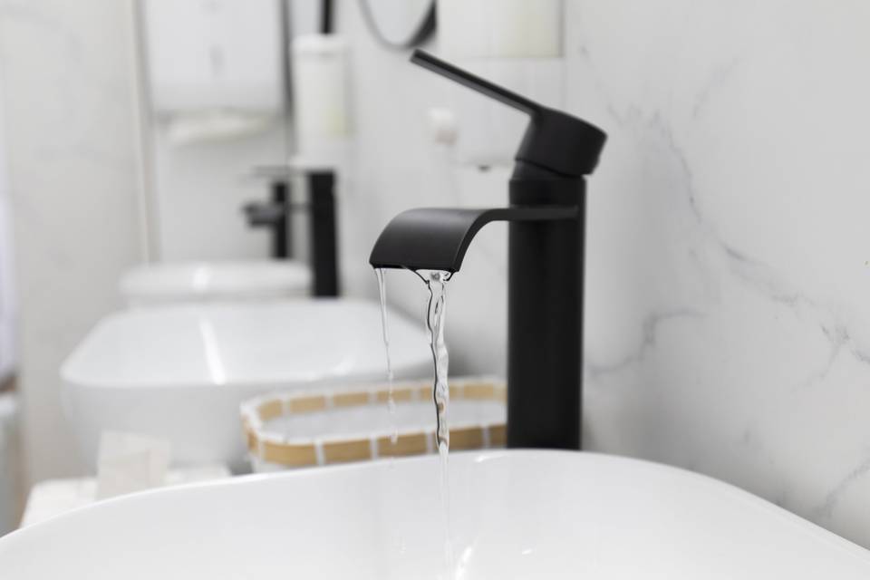 Toilet de Luxe