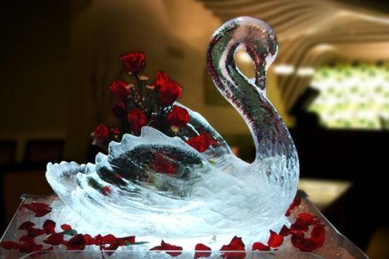 Cisne de hielo