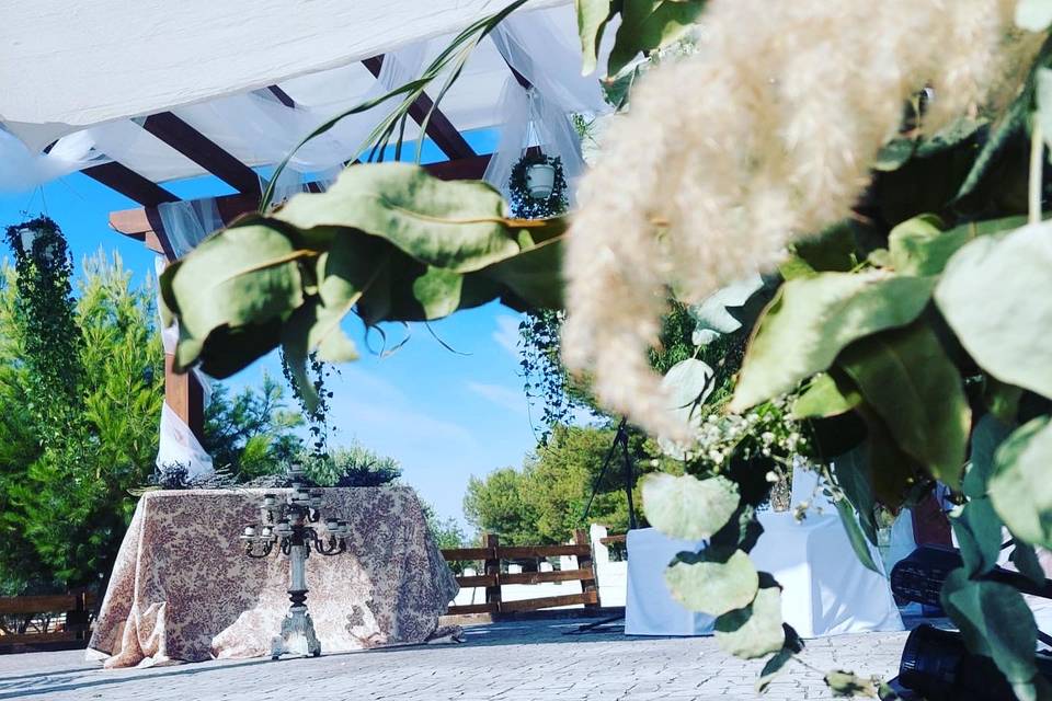 Ceremonia