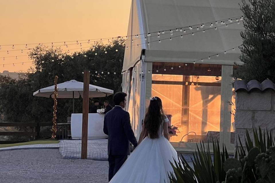 Novios