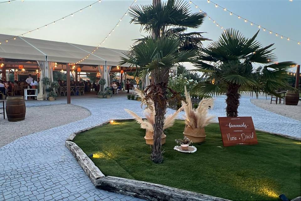 Entrada banquete