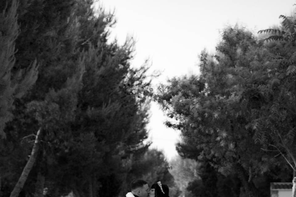 Novios