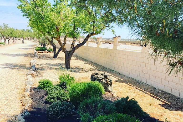 Finca San Isidro