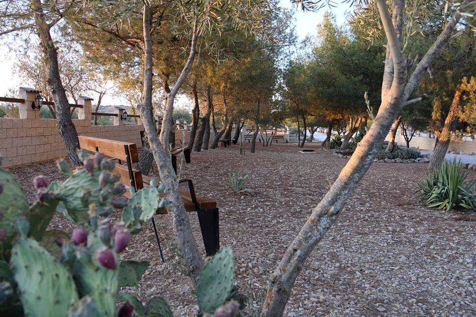 Finca San Isidro