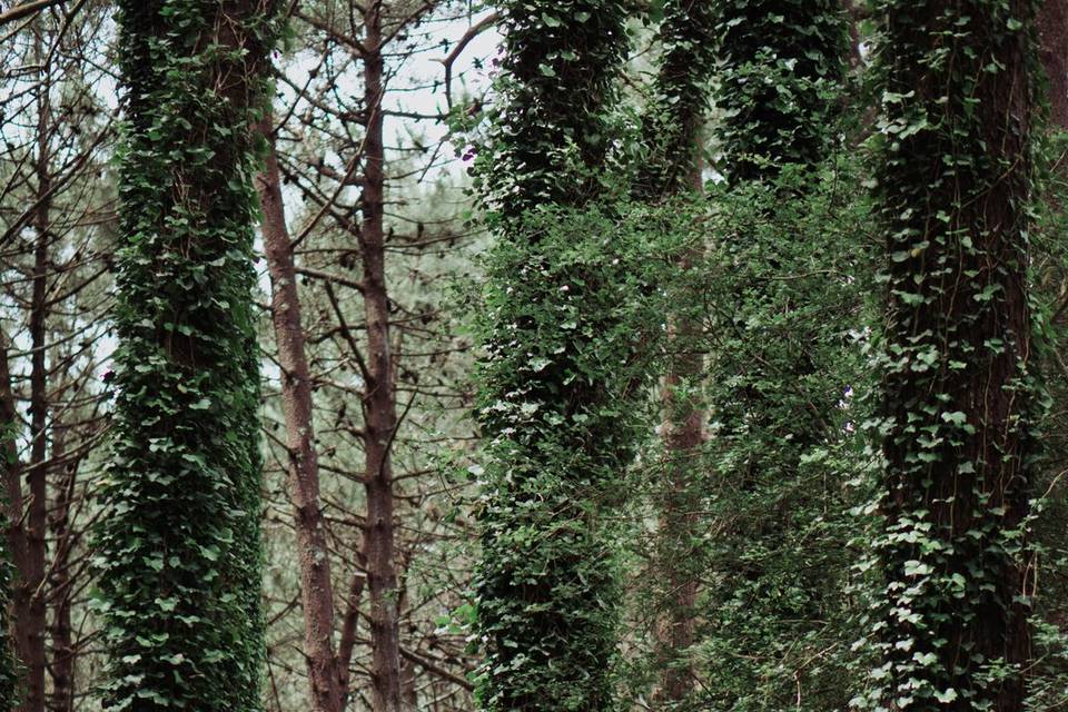 Naturaleza