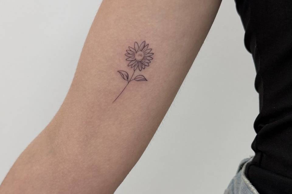 Linea fina