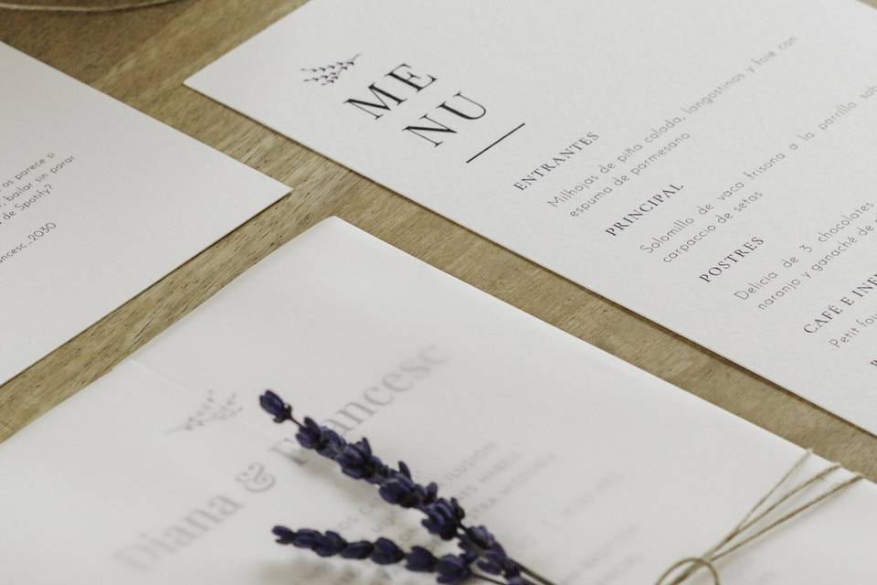Colección Botanical Minimalista