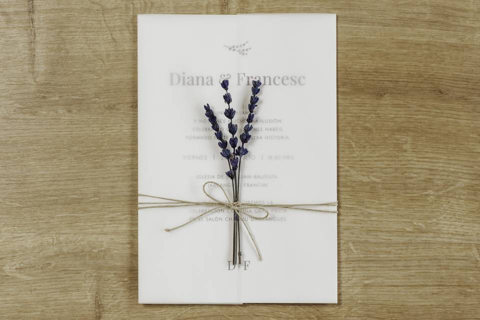 Colección Botanical Minimalista