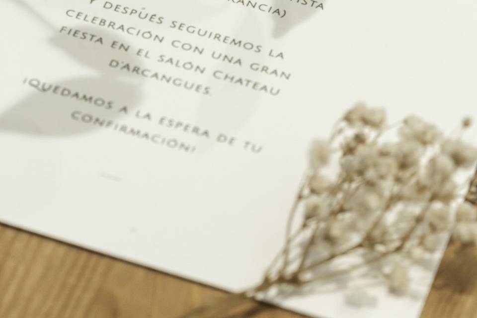 Colección Botanical Minimalista