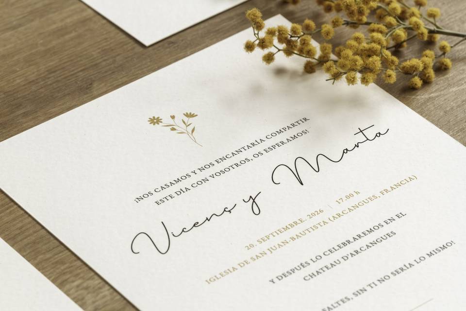 Colección Botanical Minimalista