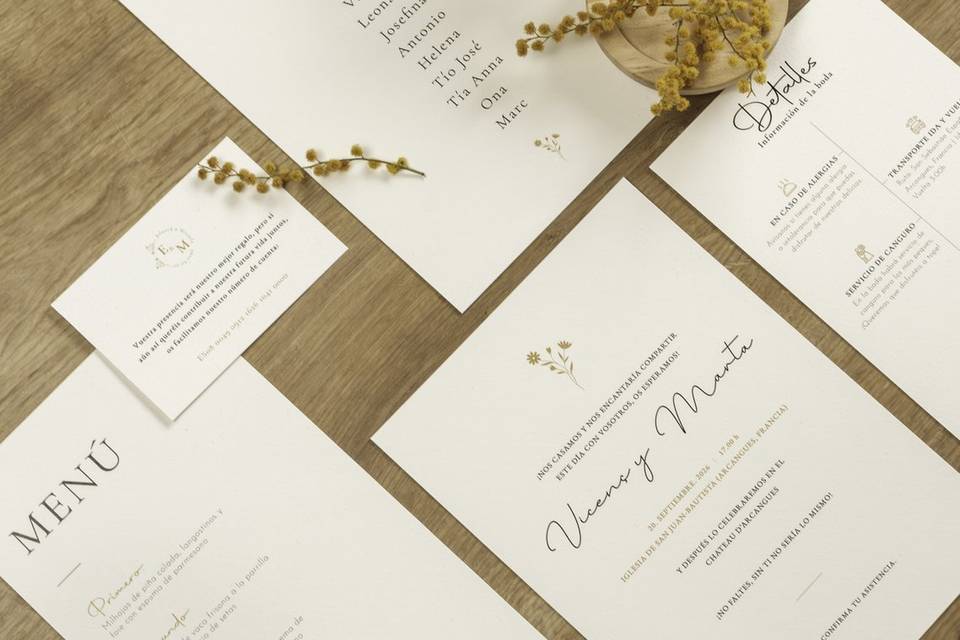 Colección Botanical Minimalista
