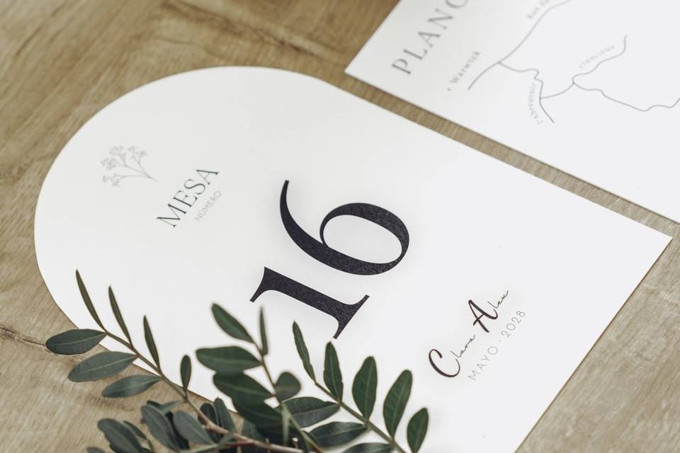 Colección Botanical Minimalista