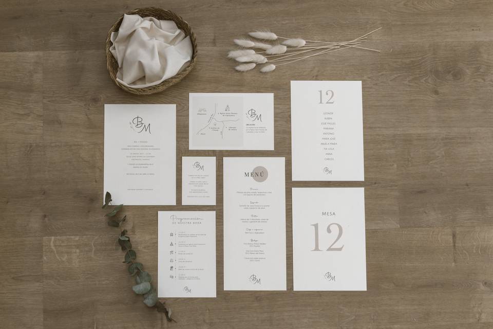 Colección Botanical Minimalista