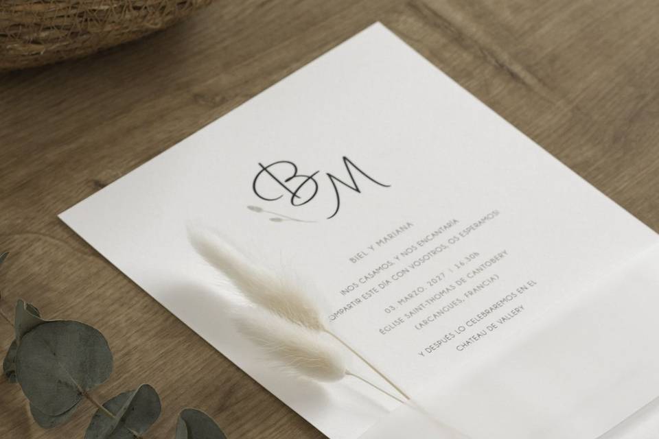 Colección Botanical Minimalista