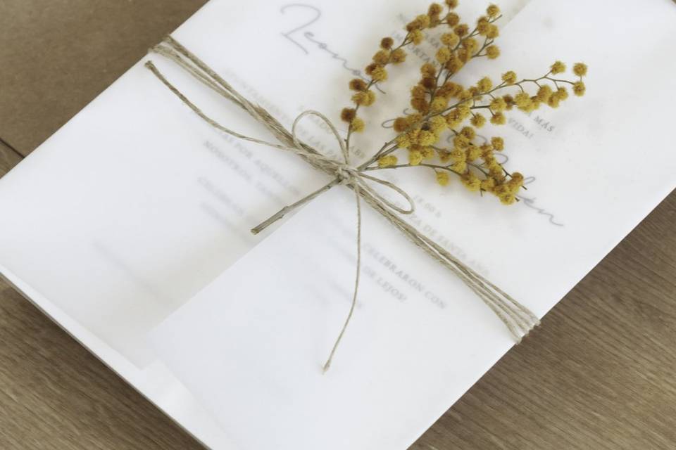 Colección Botanical Minimalista