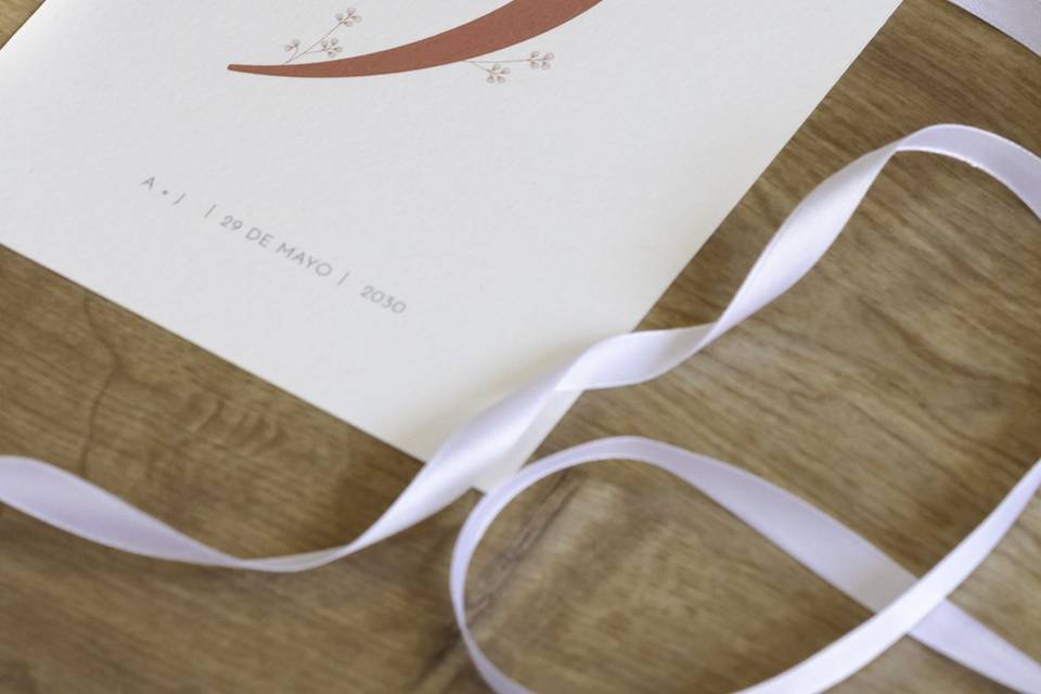 Colección Botanical Minimalista