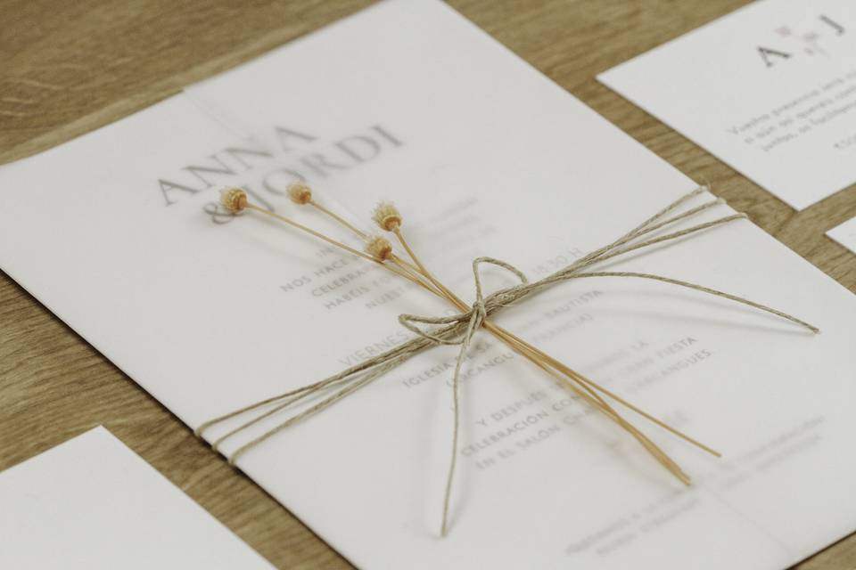 Colección Botanical Minimalista
