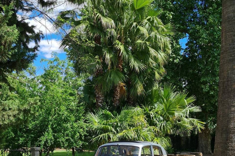 Coche puente