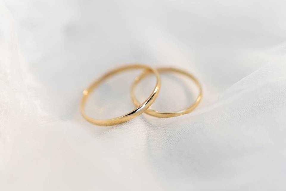 Los anillos