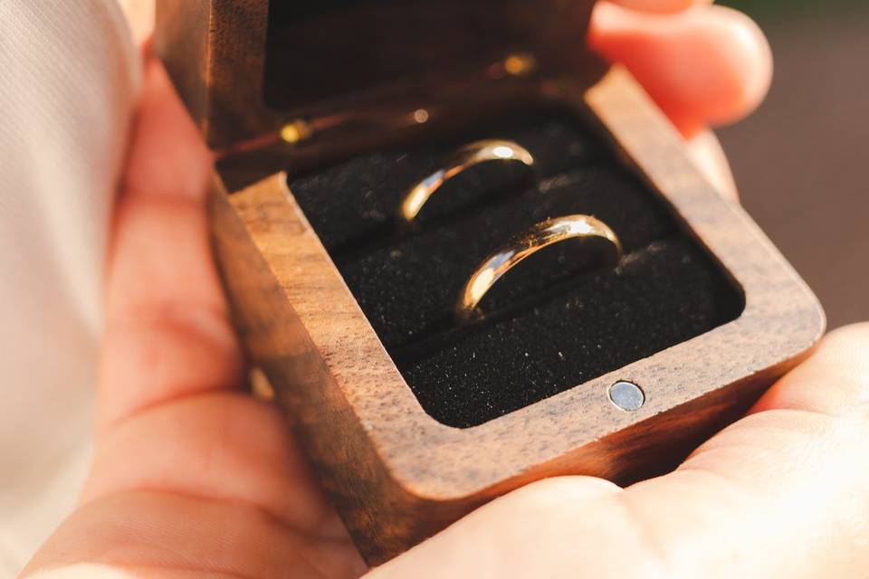 Los anillos