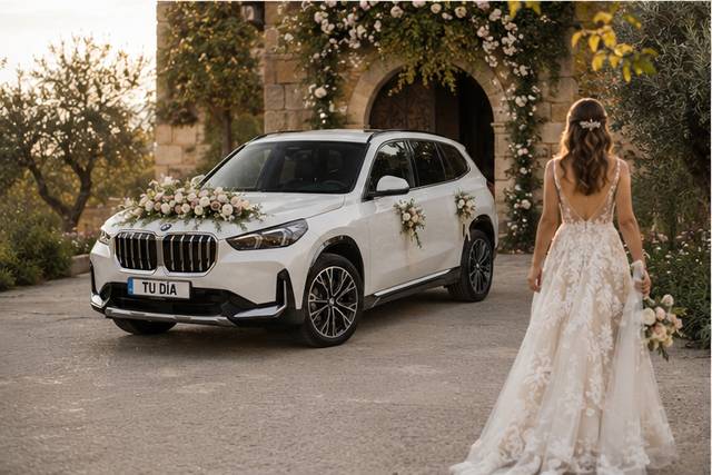 Tu Día Wedding Drive Service