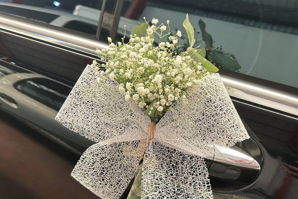 Detalle del coche