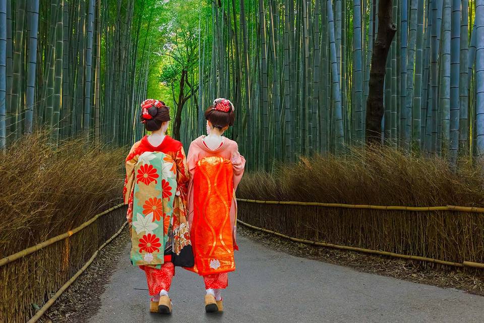 Bosque de Bambú - Kyoto