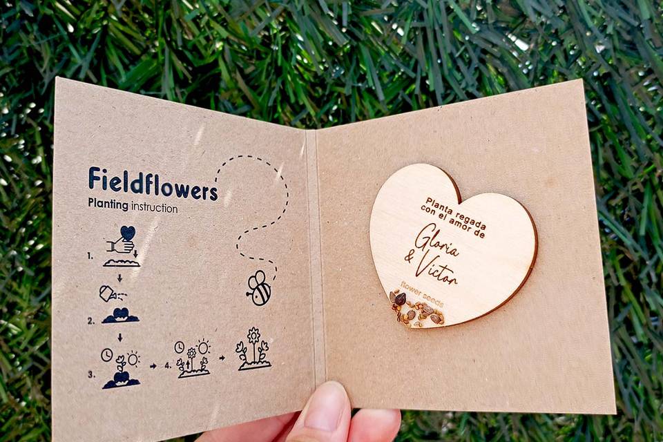 Regalos