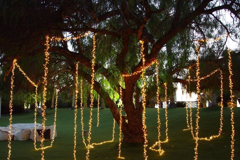 Iluminación el árbol promenade