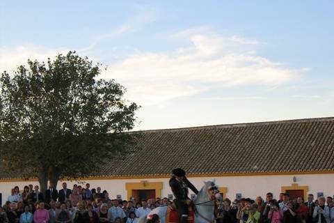 Novios en sidecar