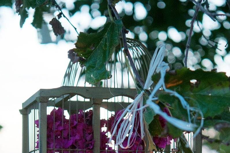 Árbol con flores y jaulas