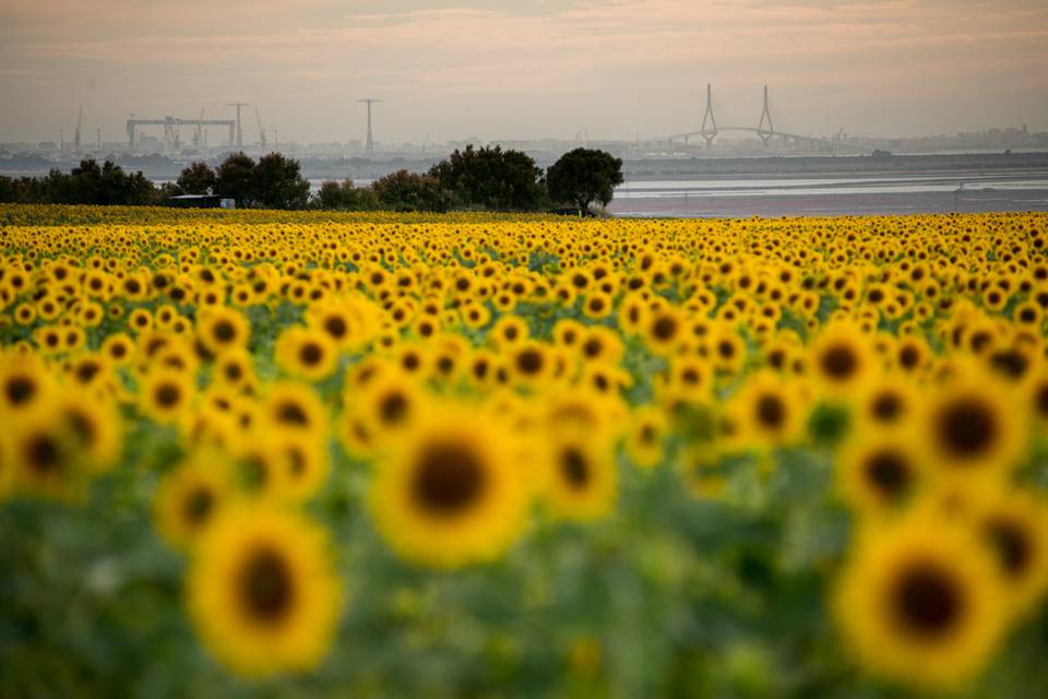 Vistas bahía de Cádiz