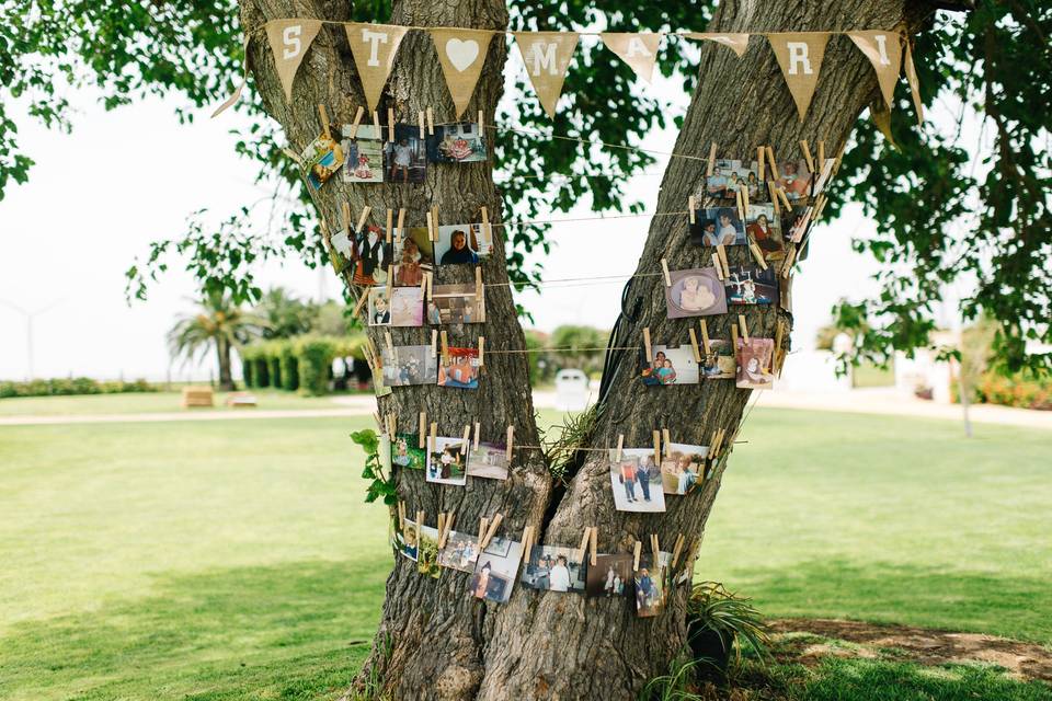 Árbol con fotos