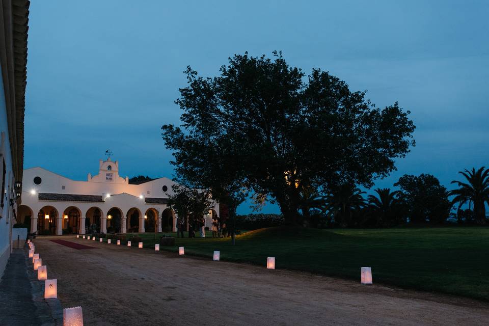 Cena en jardín frente árbol