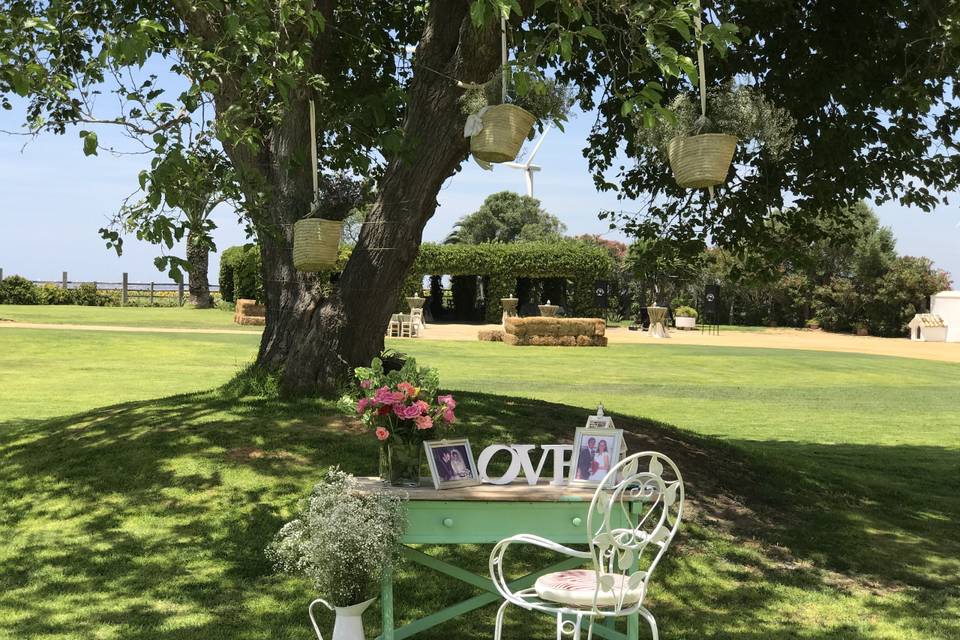 Mesa firmas y velas en árbol