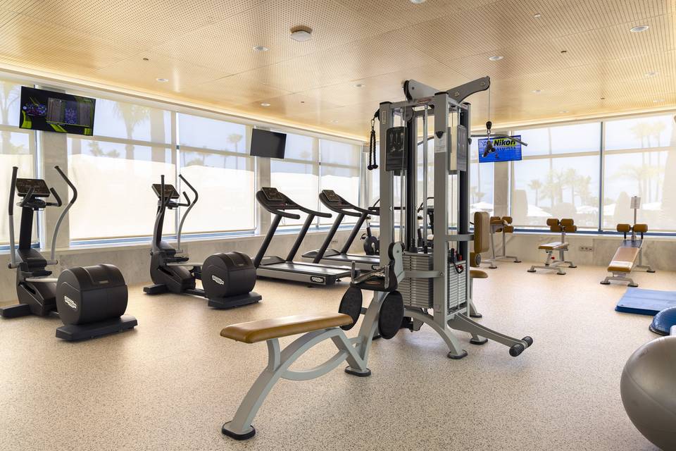 Gimnasio