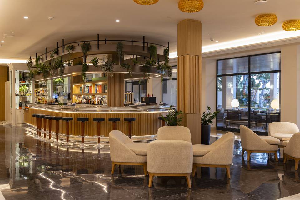 Hall-Recepción