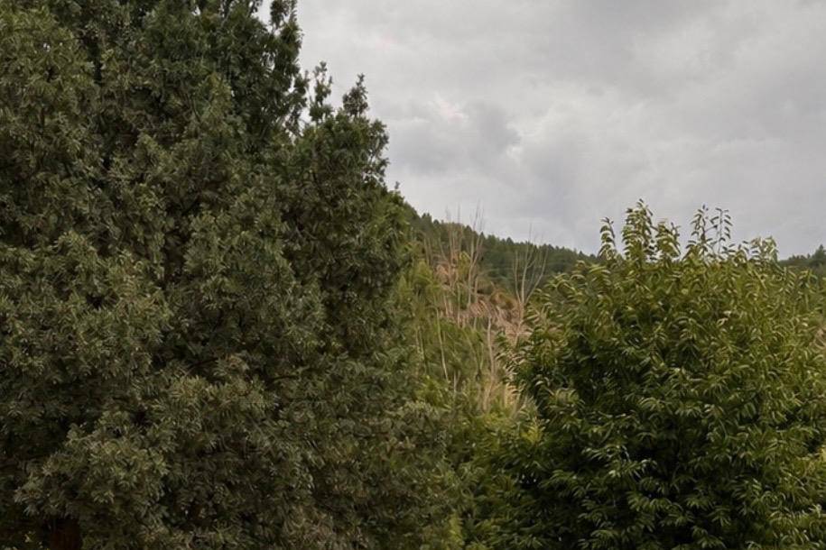 Finca Erroa